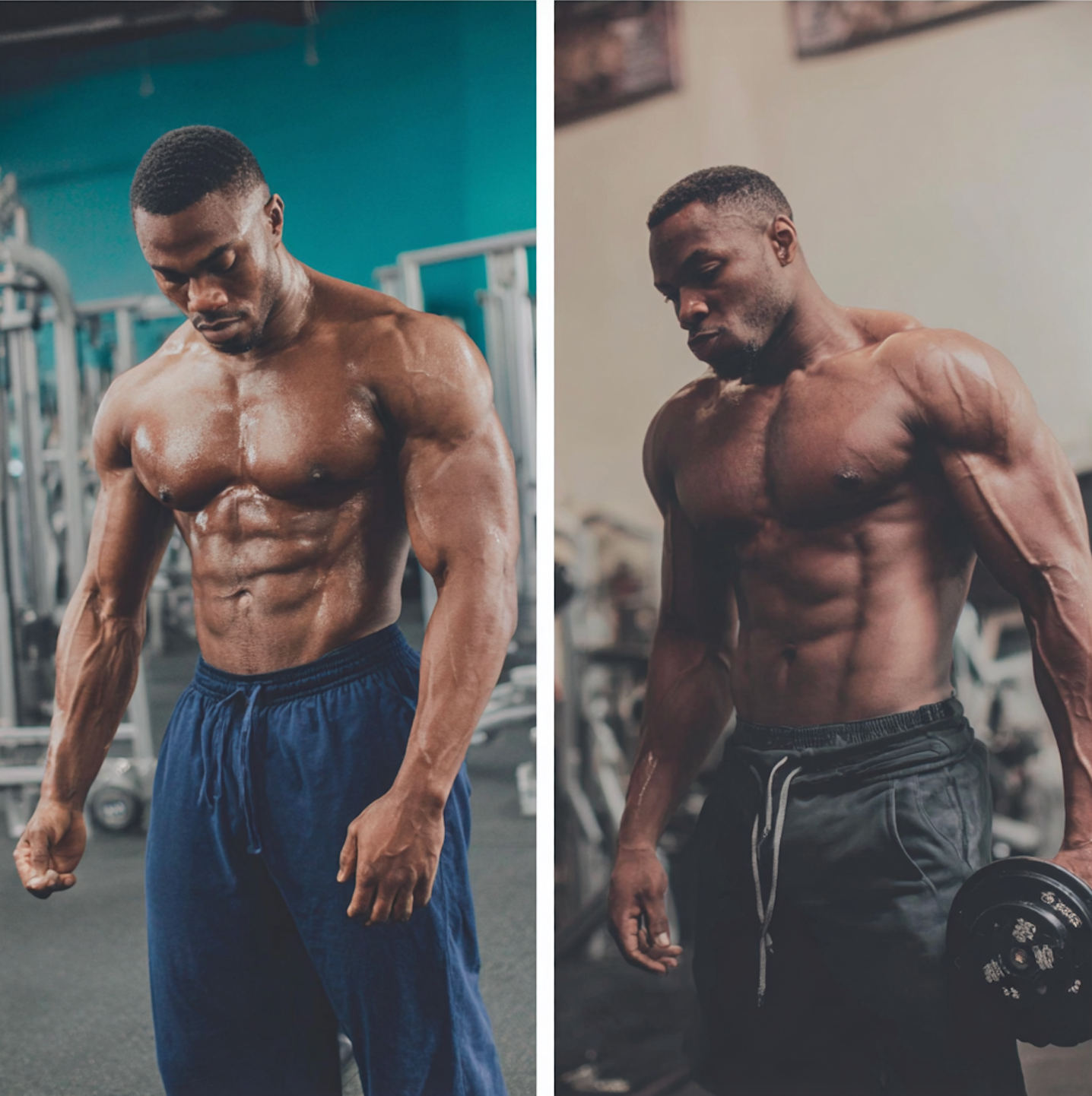 BODY BUILDER KIT